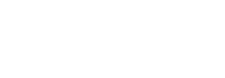 LOGO FALCON